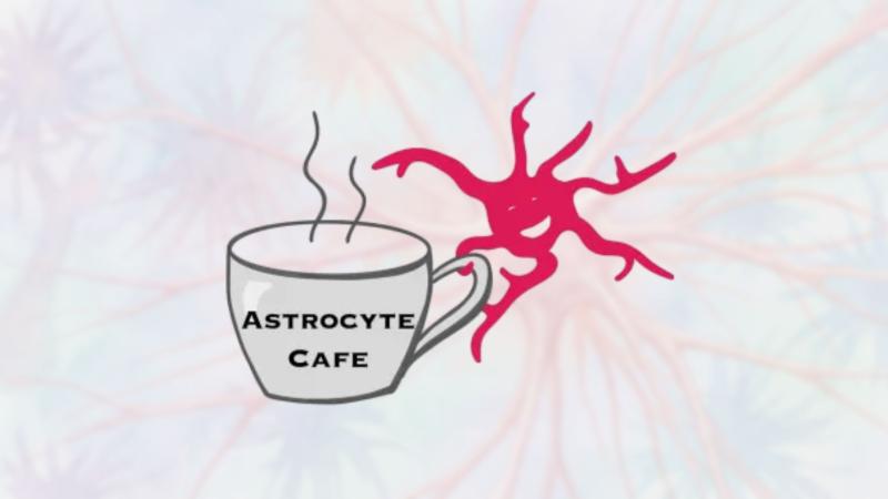 Astrocyte Cafe Conference 2026